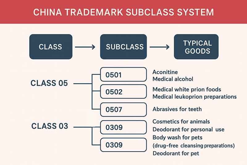 Diagram of the China Trademark Subclass System