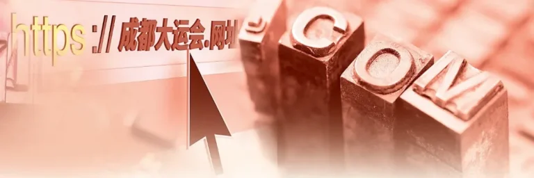 Chinese domain protection