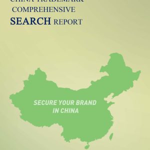 china Trademark search Report